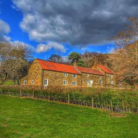 Ingleby Arncliffe Park House Bed & Breakfast エクステリア 写真