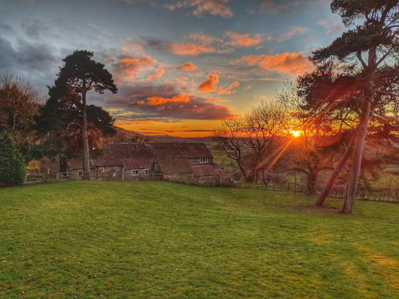 Ingleby Arncliffe Park House Bed & Breakfast エクステリア 写真
