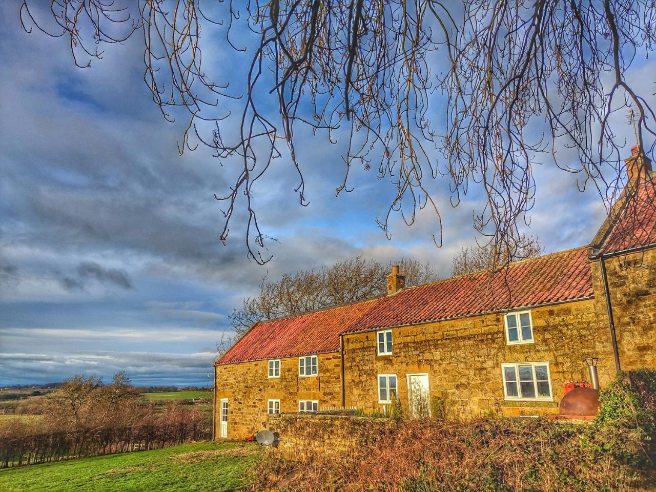 Ingleby Arncliffe Park House Bed & Breakfast エクステリア 写真