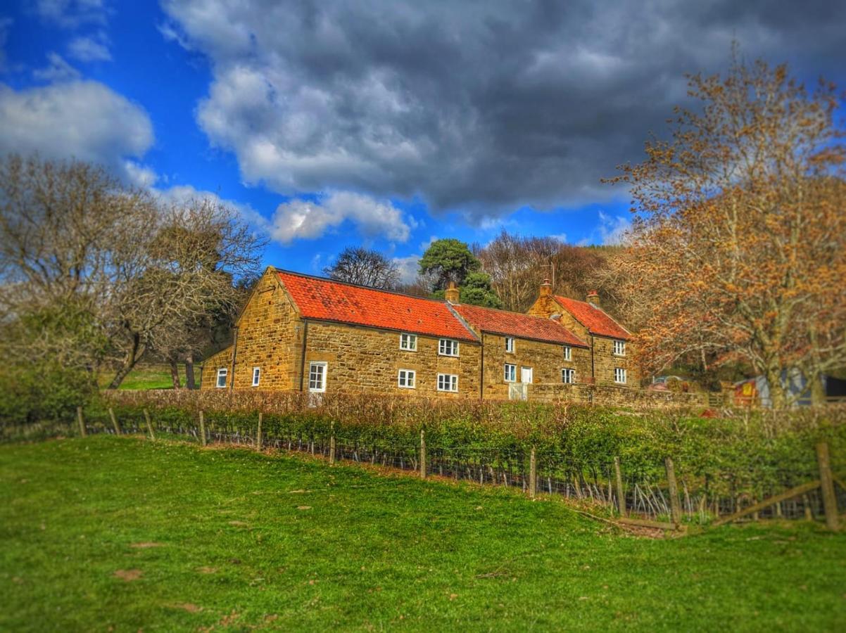 Ingleby Arncliffe Park House Bed & Breakfast エクステリア 写真